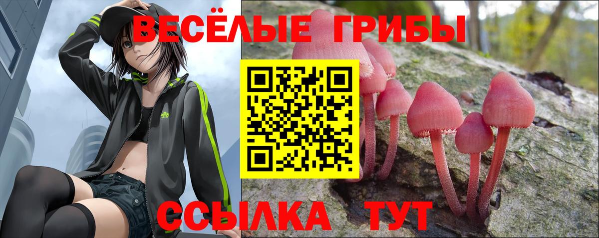 Псилоцибиновые грибы Psilocybine cubensis Чебоксары